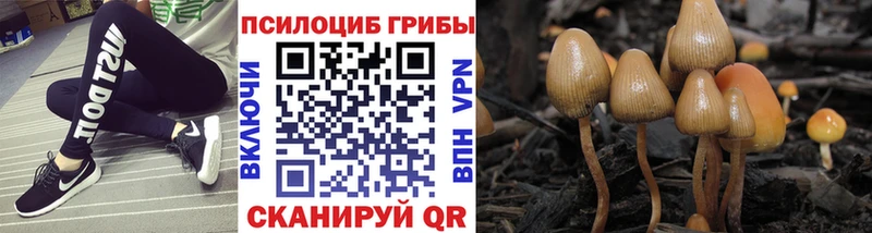 это наркотические препараты  Алупка  Псилоцибиновые грибы Cubensis 
